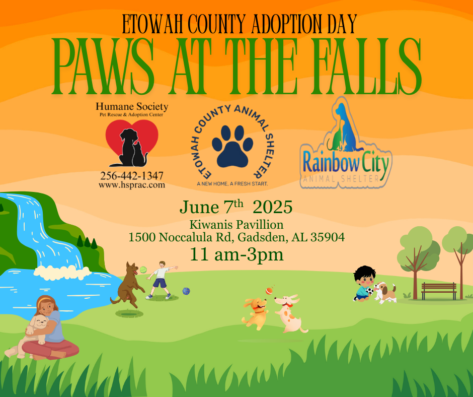 Buy the animal rescue center Hotsell